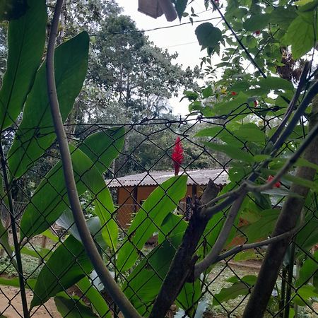 Sitio Das Bromelias Cachoeira Do Tombador Ubatuba Eksteriør billede