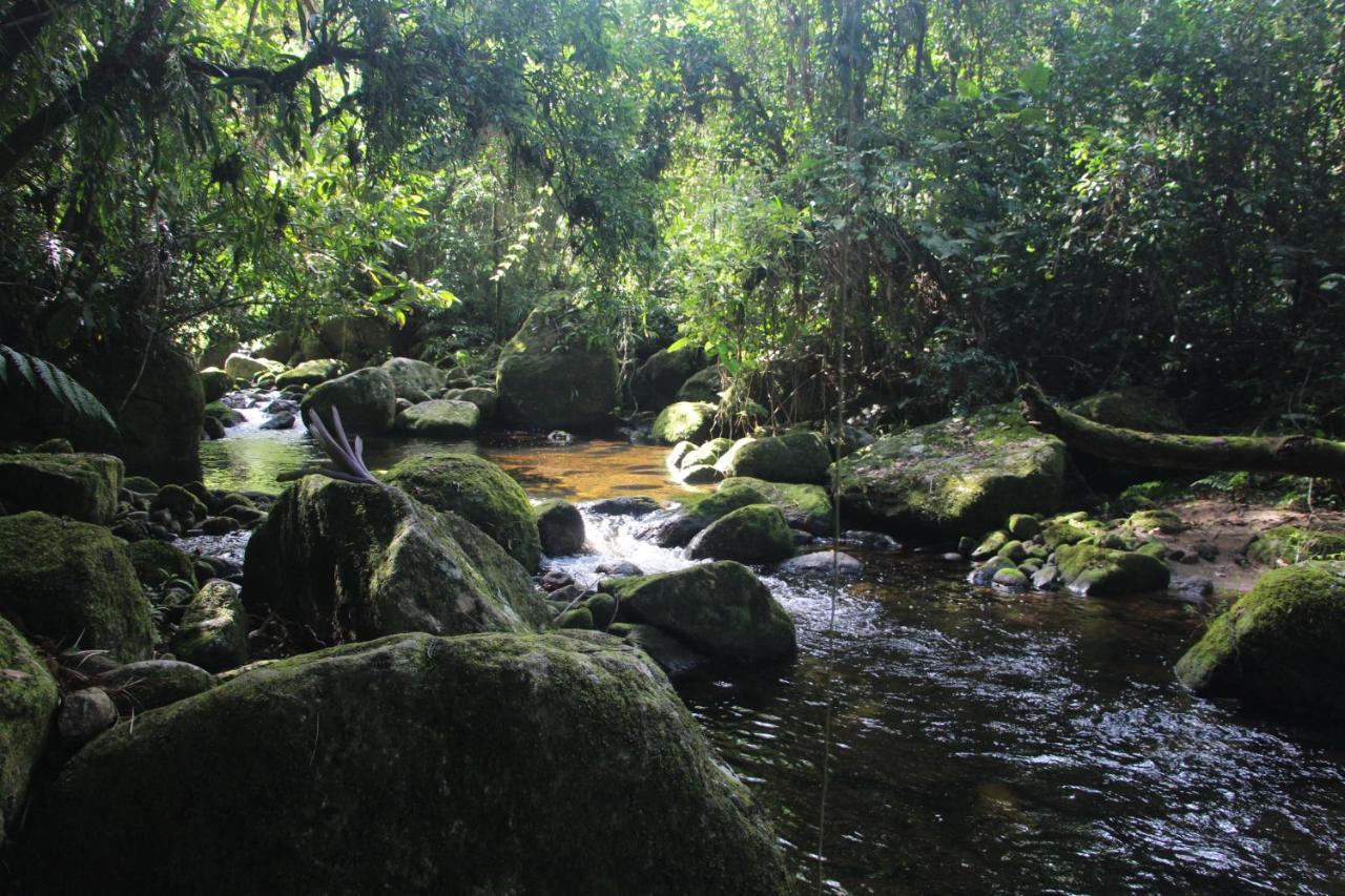 Sitio Das Bromelias Cachoeira Do Tombador Ubatuba Eksteriør billede